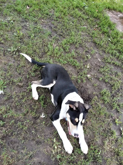Tails & Trails Dog Park 2