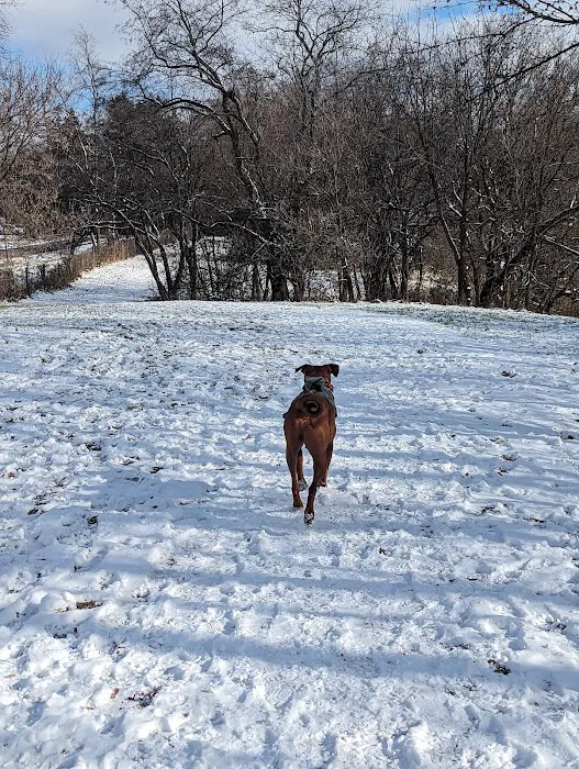 Tails & Trails Dog Park 5