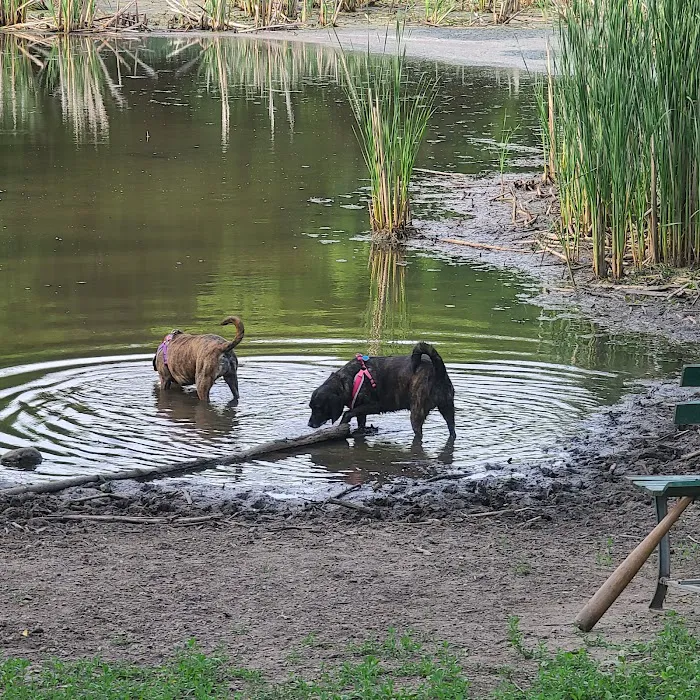 Tails & Trails Dog Park 4