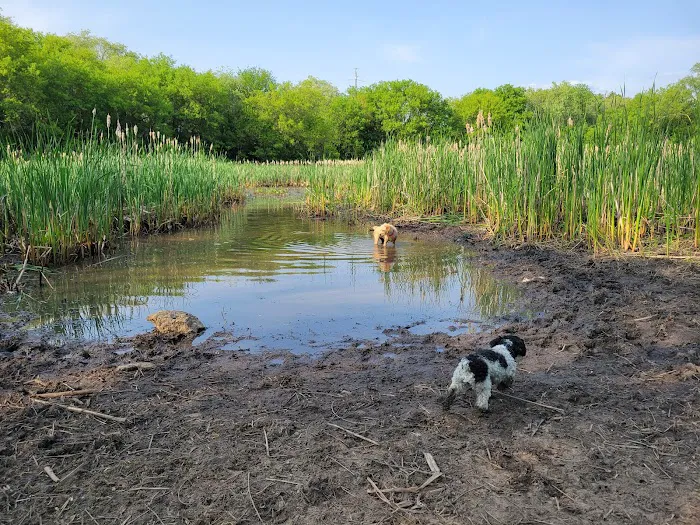 Tails & Trails Dog Park 3