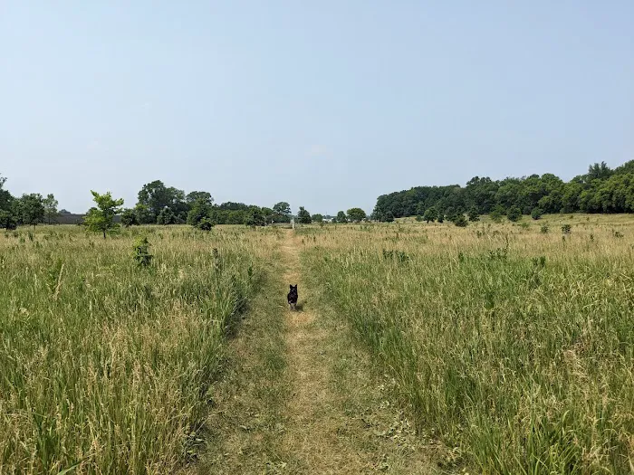 Paw Print Dog Park 8