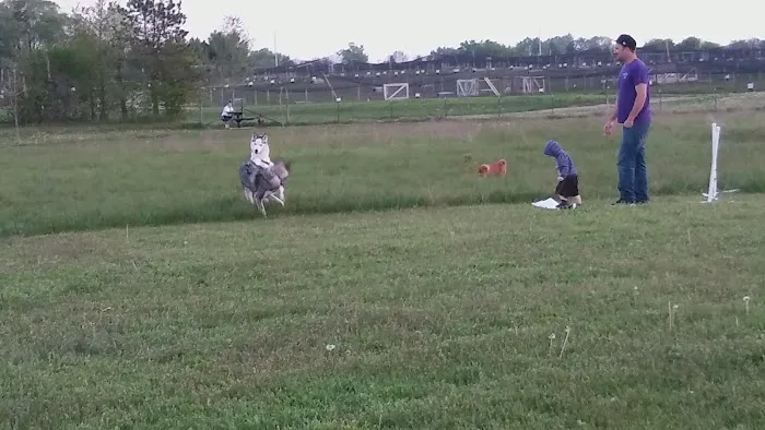 Paw Print Dog Park 4