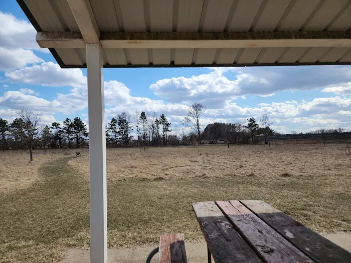 Paw Print Dog Park 1