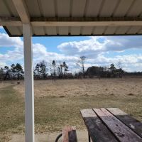 Paw Print Dog Park ico