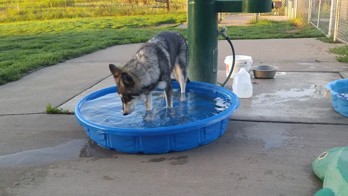 Paw Print Dog Park 2