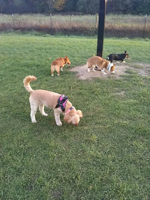 Paw Print Dog Park 6