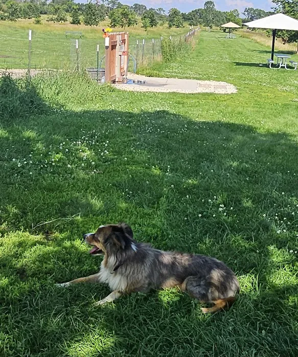 Paw Print Dog Park 7