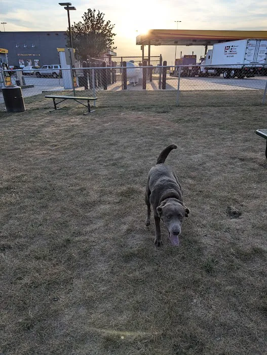 Dog Park at Love's Travel Stops 10