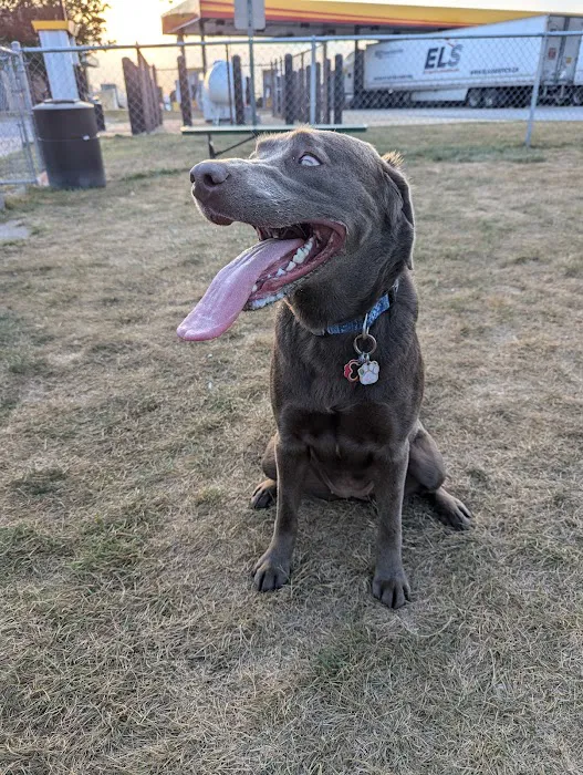 Dog Park at Love's Travel Stops 3