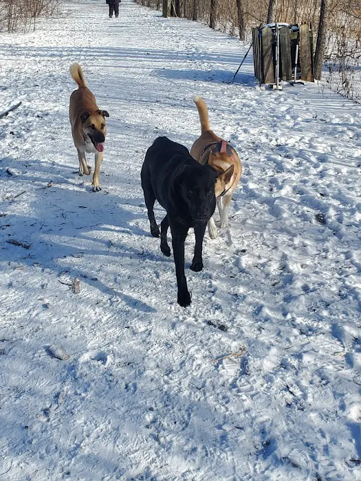 Muttland Meadows 6
