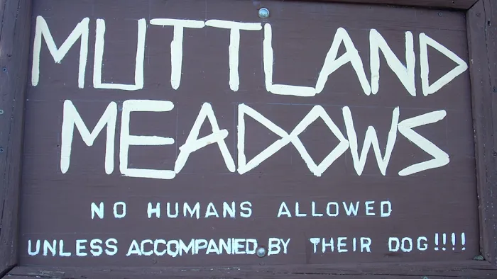 Muttland Meadows 10