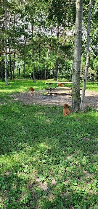 Muttland Meadows 4