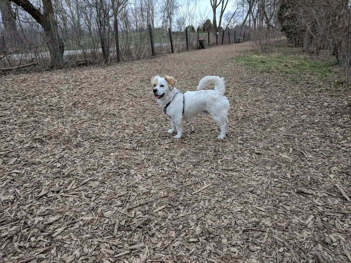 Muttland Meadows 7