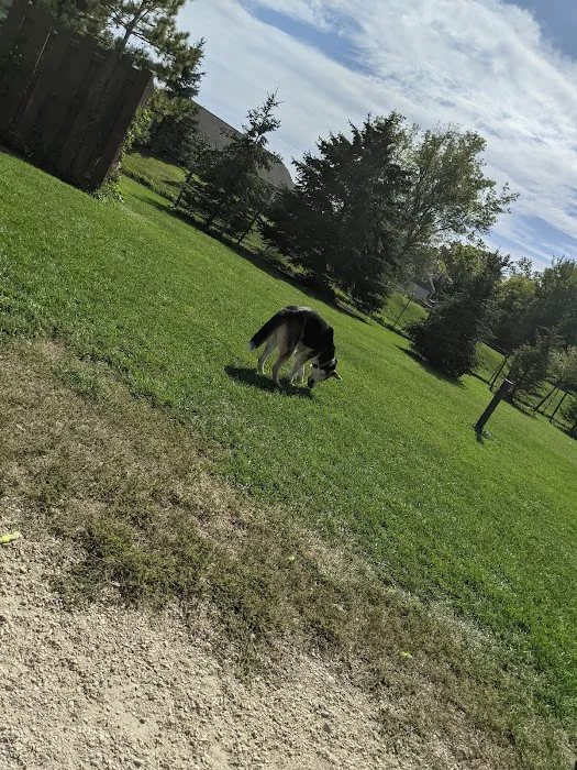 Off-Leash Dog Area 3
