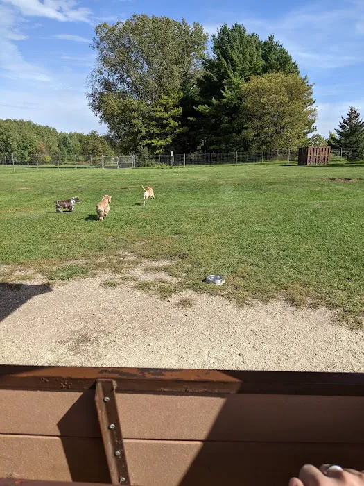 Off-Leash Dog Area 5