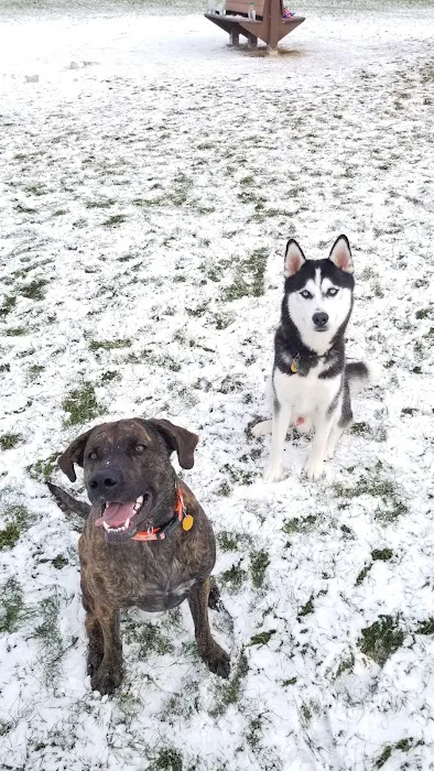 Off-Leash Dog Area 9