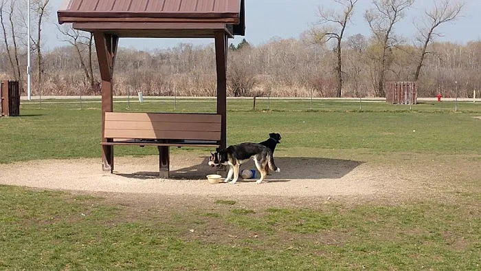 Off-Leash Dog Area 1
