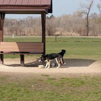 Off-Leash Dog Area ico