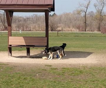 Off-Leash Dog Area