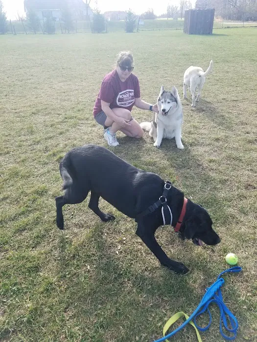 Off-Leash Dog Area 10