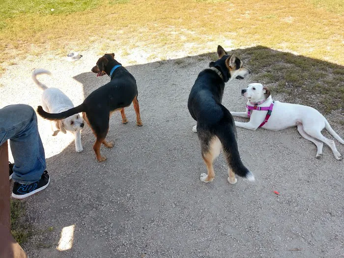Off-Leash Dog Area 6