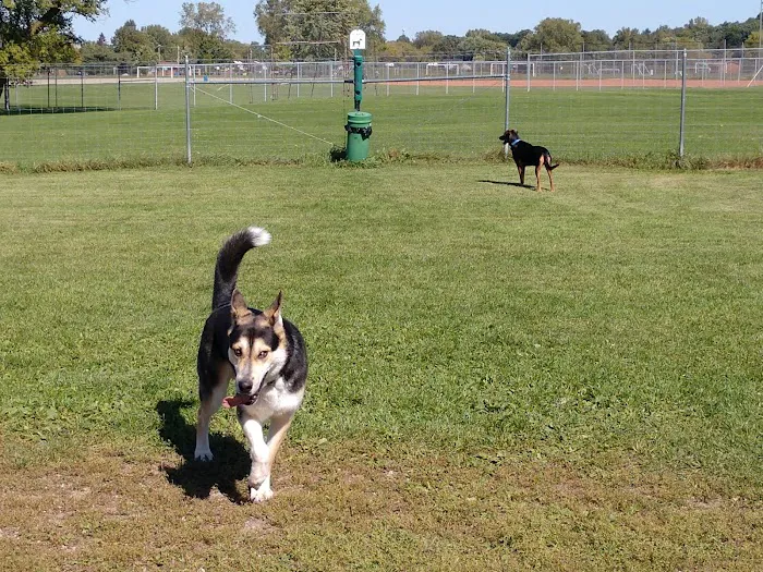 Off-Leash Dog Area 4