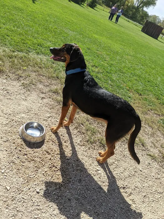 Off-Leash Dog Area 8