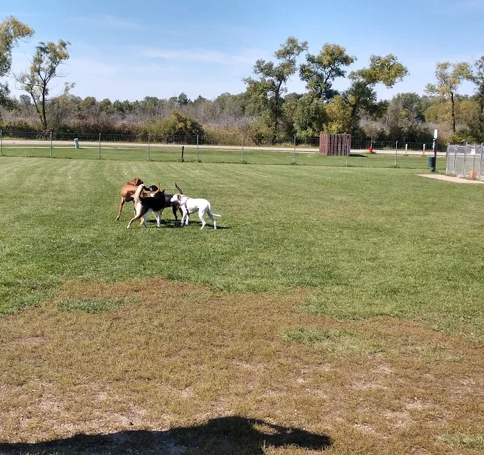Off-Leash Dog Area 7