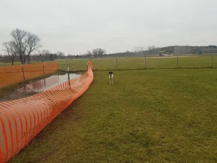 Off-Leash Dog Area 2