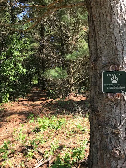 Sandy Paws Dog Park 8