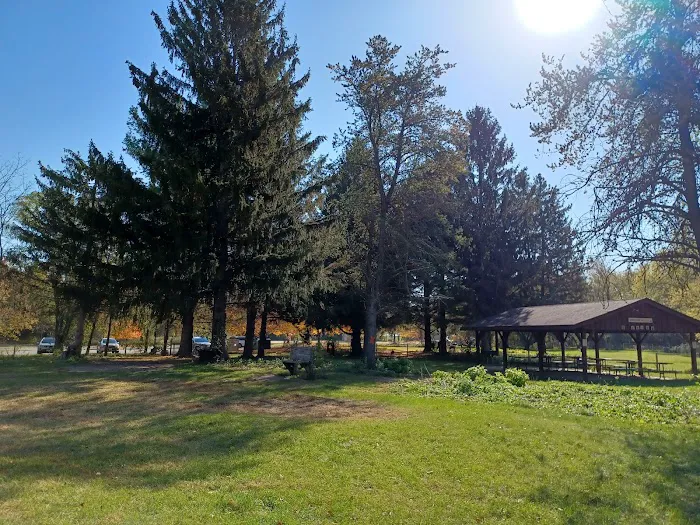 Sandy Paws Dog Park 4