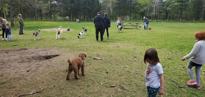 Sandy Paws Dog Park 6