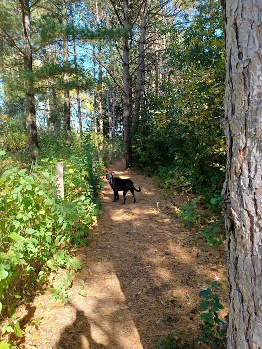 Sandy Paws Dog Park 7