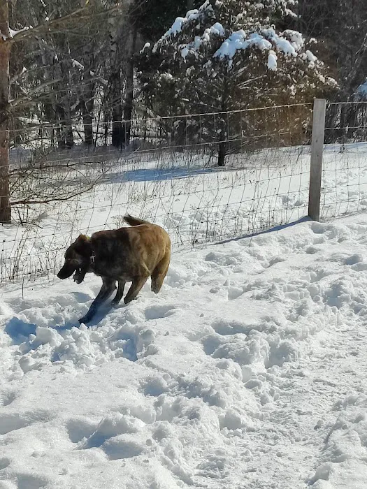 Sandy Paws Dog Park 2