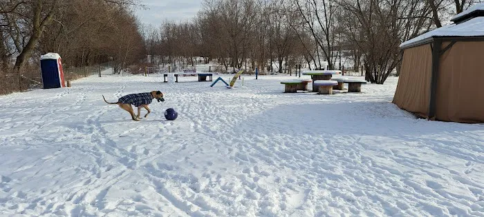 Edgerton Dog Park 3