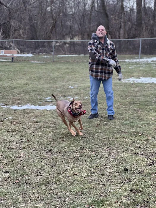 Edgerton Dog Park 6