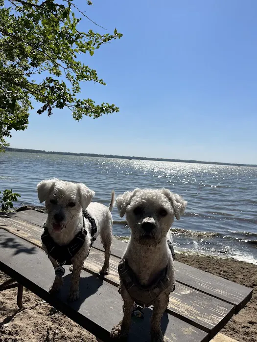 Lake Kegonsa State Park Dog Beach 4