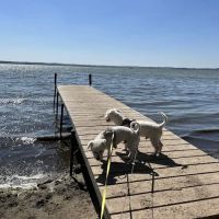 Lake Kegonsa State Park Dog Beach ico