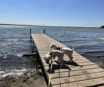 Lake Kegonsa State Park Dog Beach