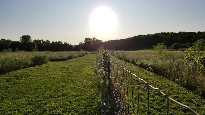 Barkwood Dog Park 4
