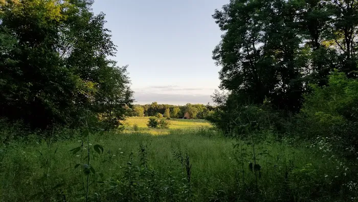 Barkwood Dog Park 3