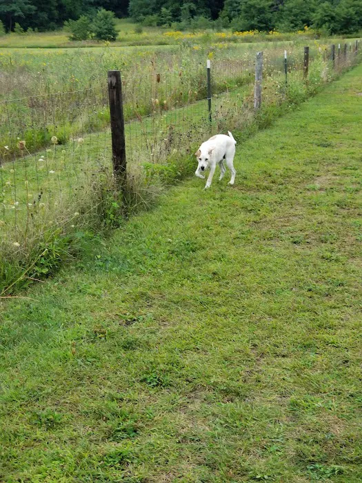Barkwood Dog Park 9