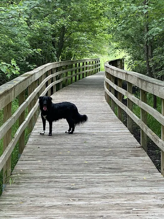 Jefferson County Dog Park 1