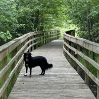 Jefferson County Dog Park ico