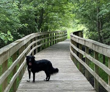 Jefferson County Dog Park