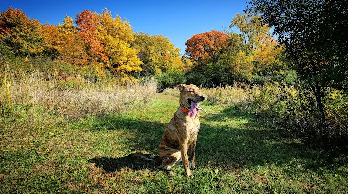 Jefferson County Dog Park 3