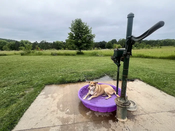 Jefferson County Dog Park 2