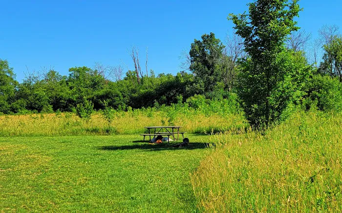 Jefferson County Dog Park 6