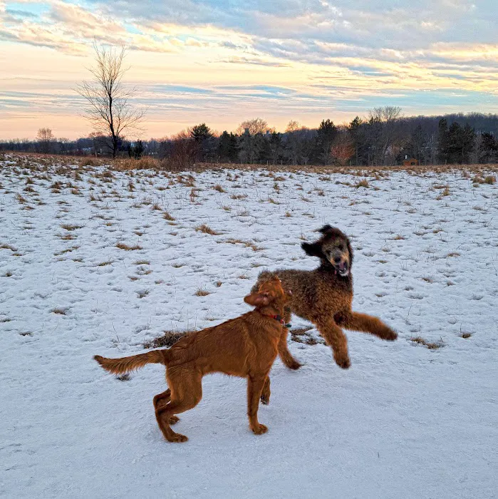 Jefferson County Dog Park 4