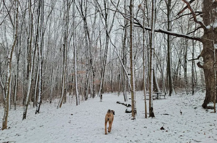 Jefferson County Dog Park 7